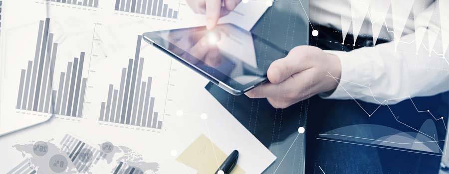 Off-Page and On-Page Consulting